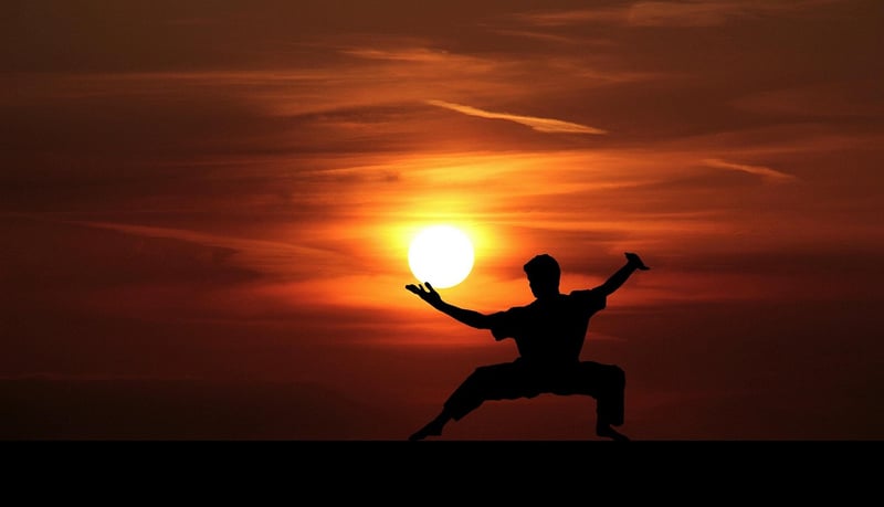 Tai Chi Wu/Hao Style